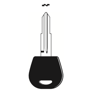 Multi-Function Key Blade DW05 to suit Daewoo | Remote Pro