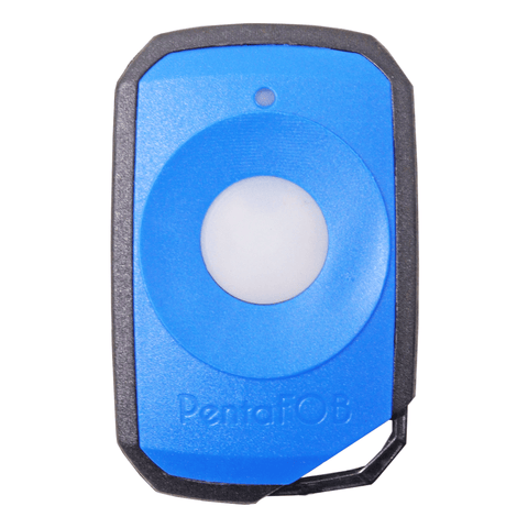 Elsema Pentafob 1 Button Blue FOB43301 Genuine Remote