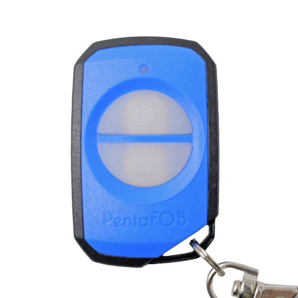 Elsema Pentafob 2 Button Blue FOB43302 Genuine Remote